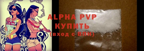 хмурый Няндома