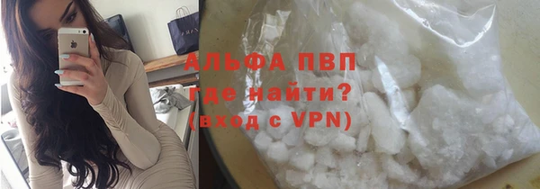 хмурый Няндома