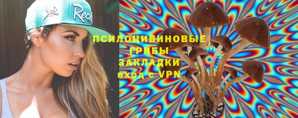 тгк Нязепетровск
