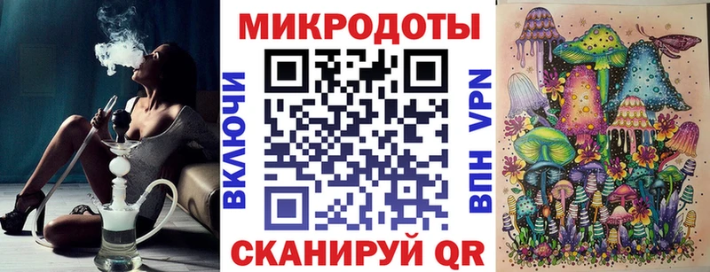 где можно купить   Калязин  omg как войти  Псилоцибиновые грибы Psilocybe 